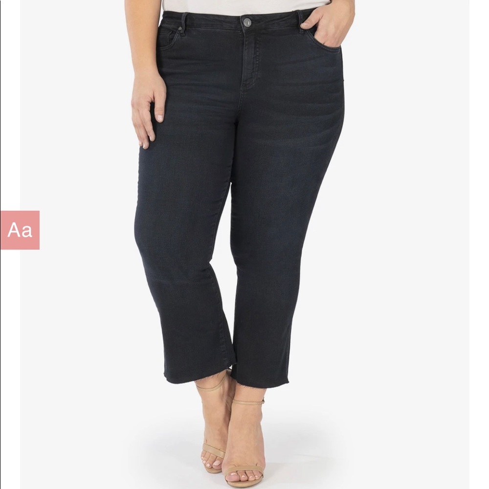 Kut from the Kloth Kelsey High Rise Kick Flare 22W